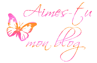 tu aimes mon blog 
